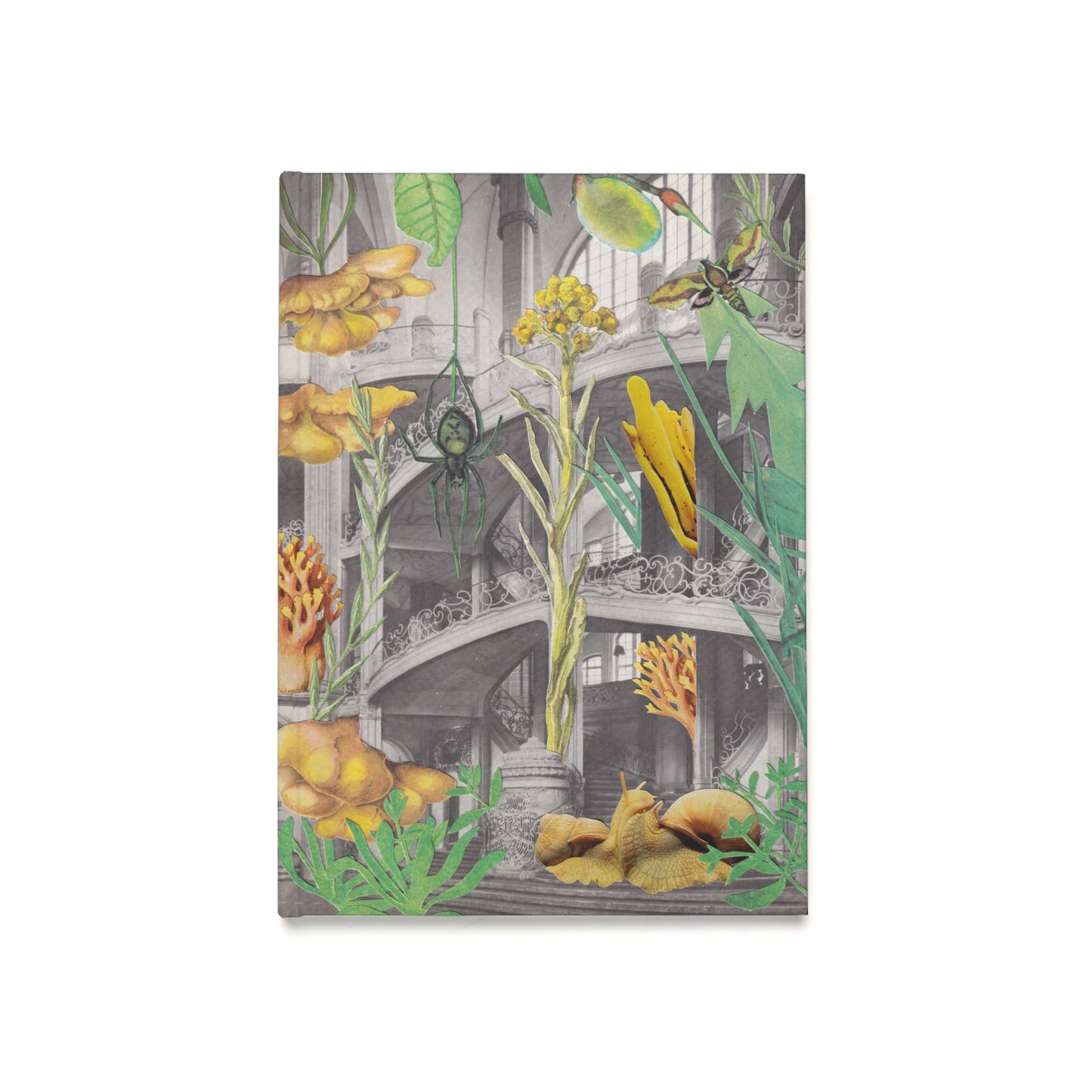 Original "Natur und Art Deco" - Vintage Collage Natur, Art Deco Architektur gerahmt