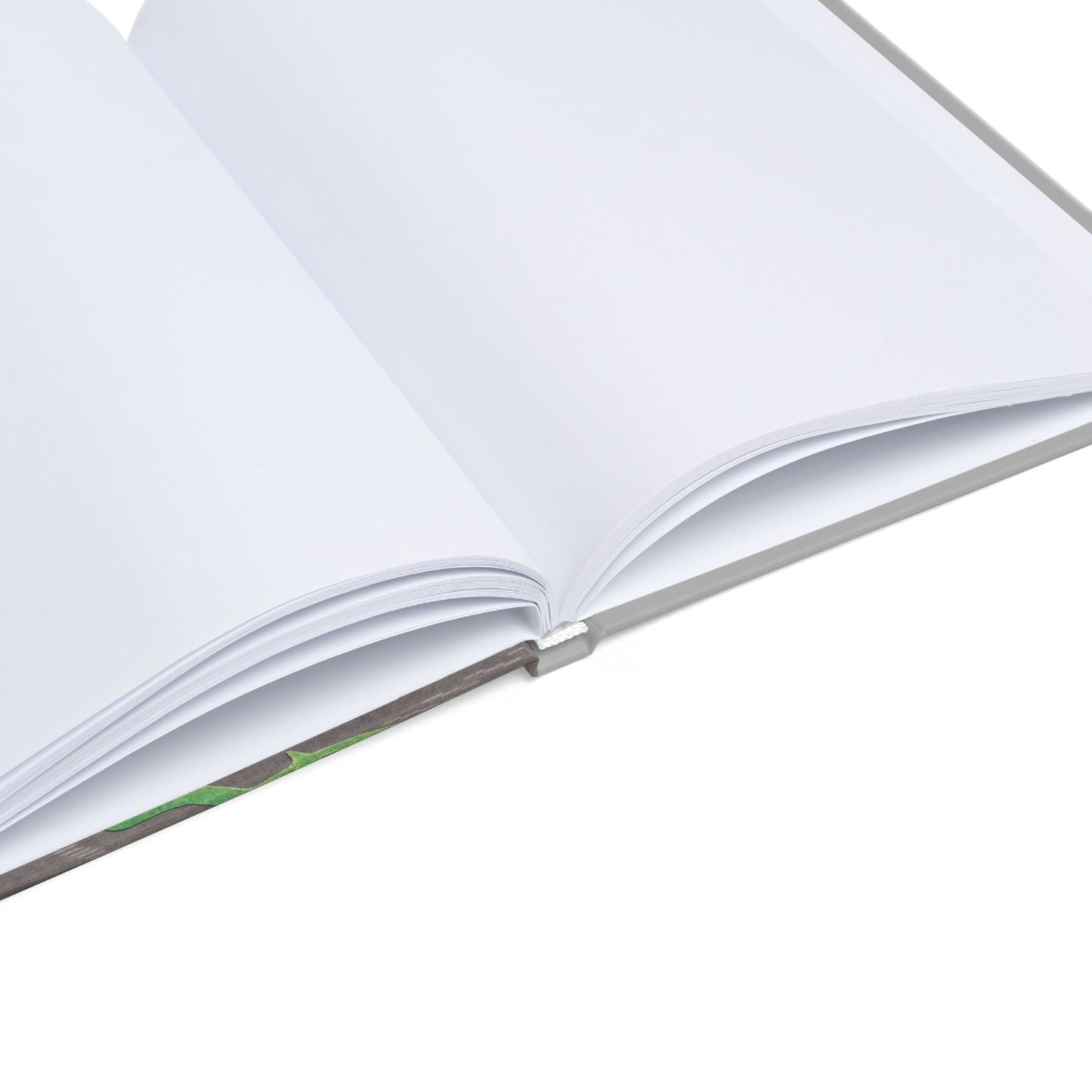 Art Deco - Natur und Architektur Hardcover Journal — A5 Inspirational Notebook