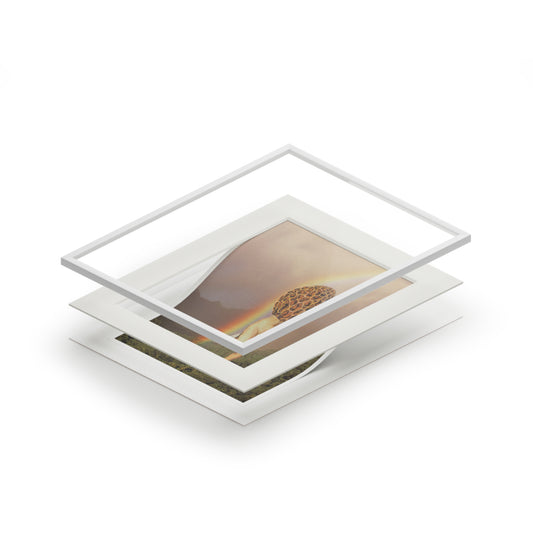 Rainbow Fine Art Print (Passepartout Paper Frame)