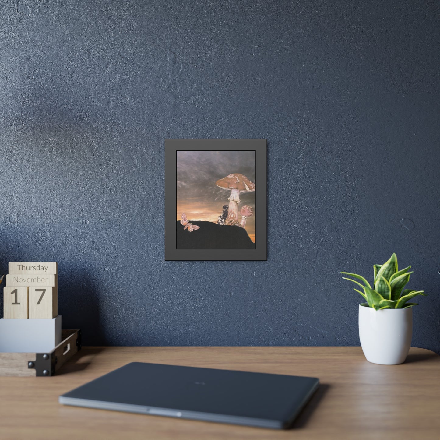 Mushrooms at sunset - a journey inwards