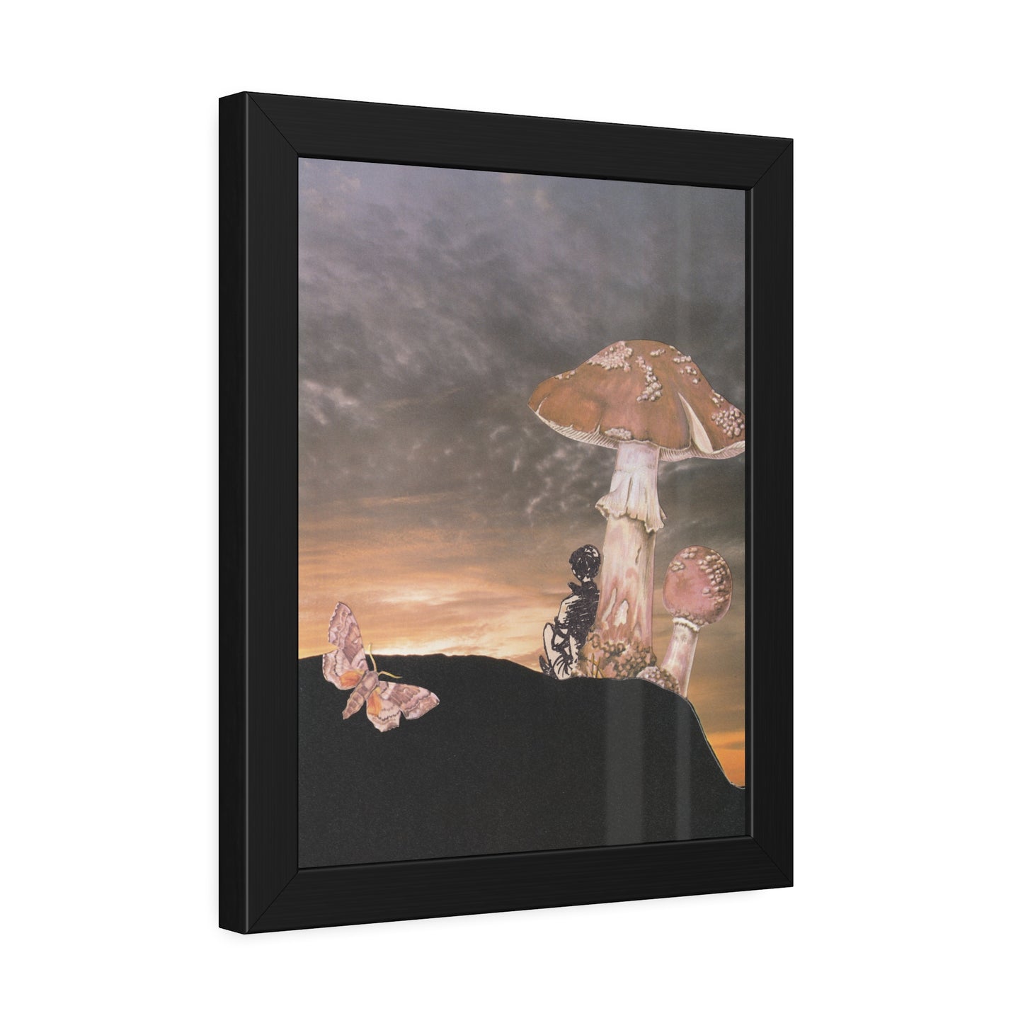 Mushrooms at sunset - a journey inwards