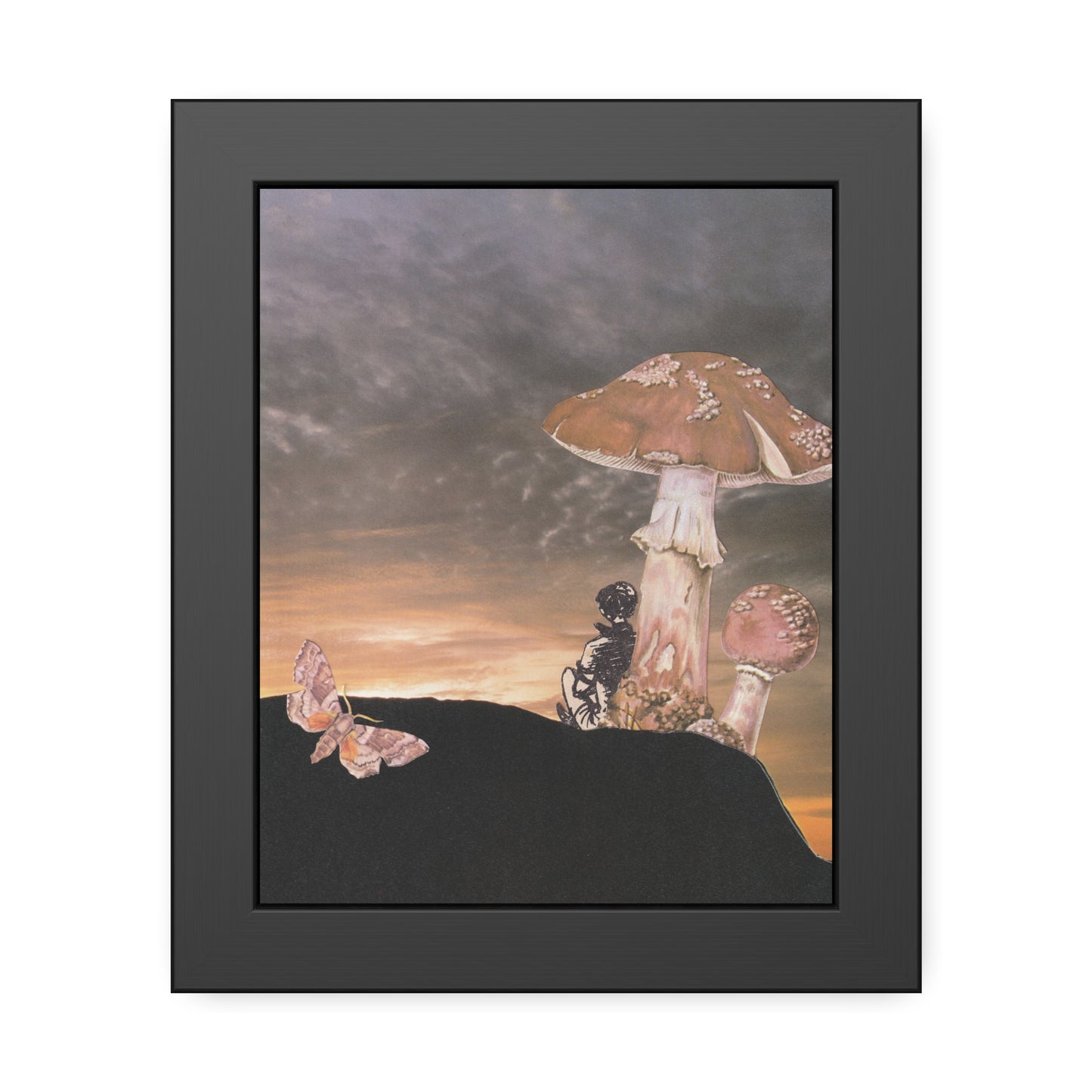 Mushrooms at sunset - a journey inwards