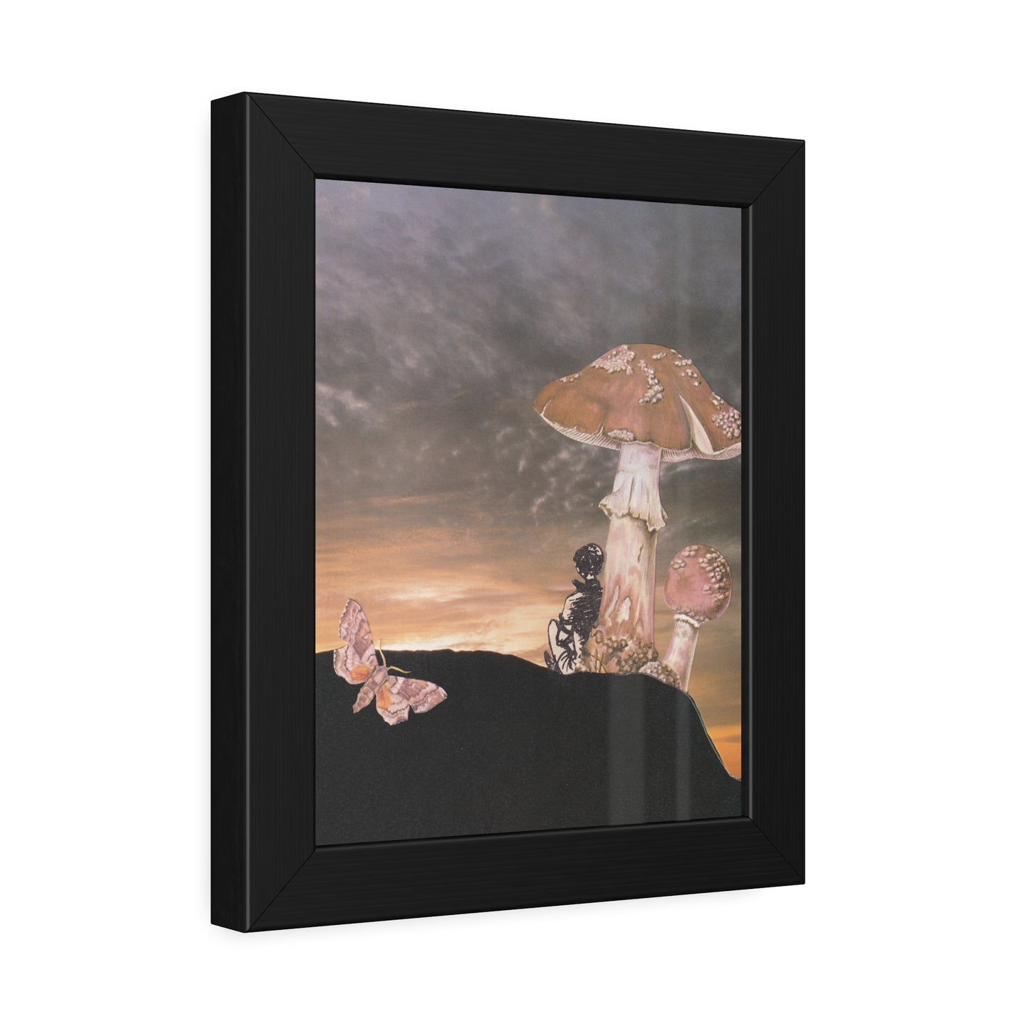 Mushrooms at sunset - a journey inwards