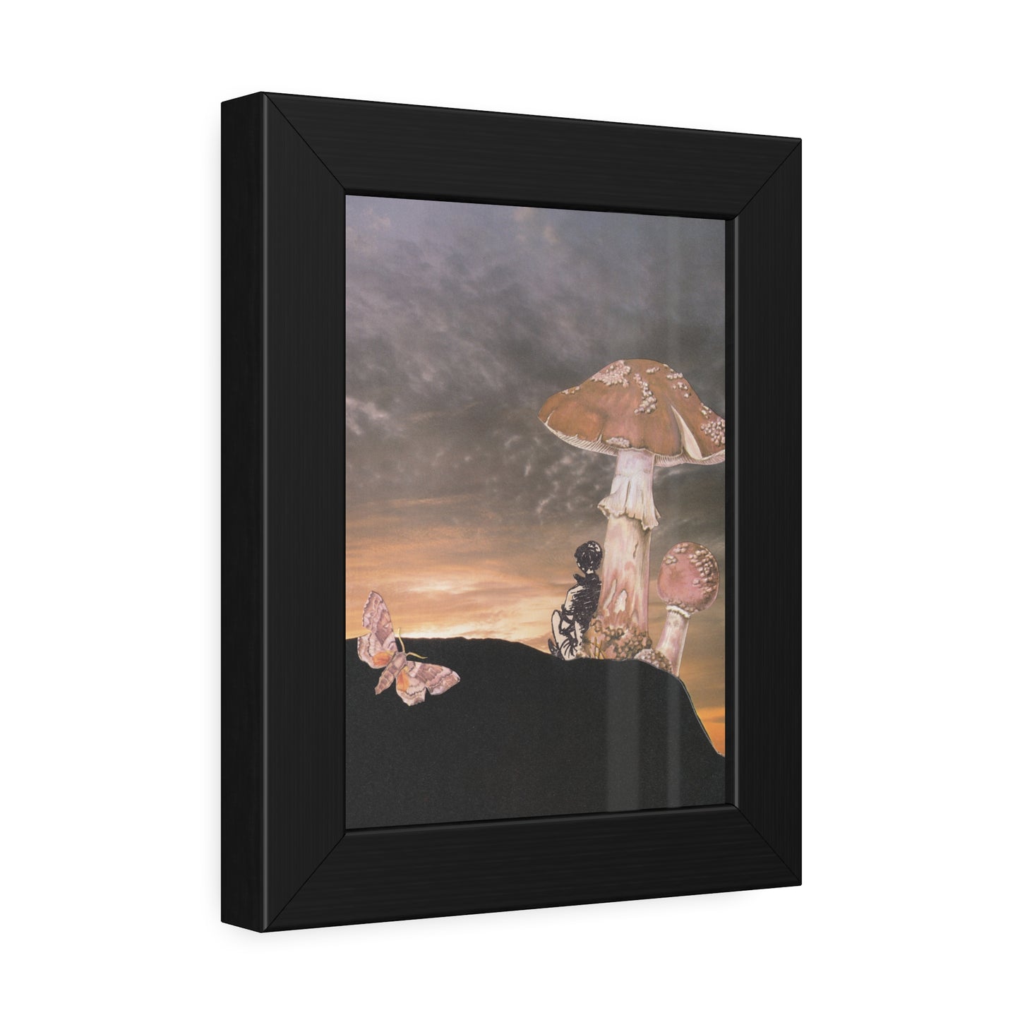 Mushrooms at sunset - a journey inwards