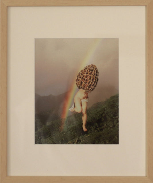 Original "Venus" - Collage gerahmt