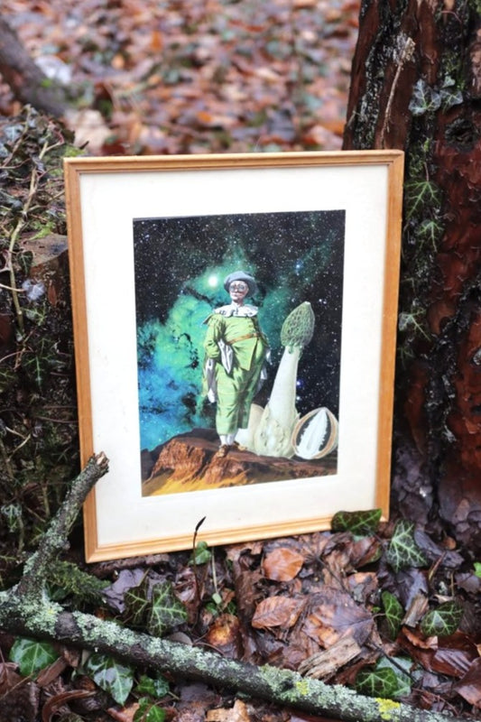 Original "Morchel" - Surreale Commedia dell'Arte Collage gerahmt