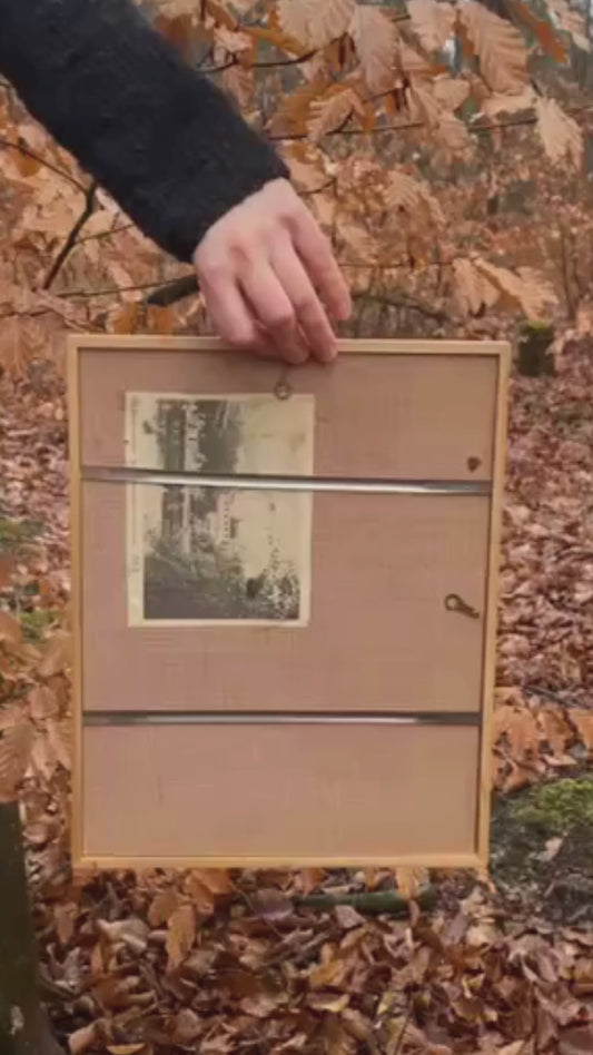 Original "Morchel" - Surreale Commedia dell'Arte Collage gerahmt